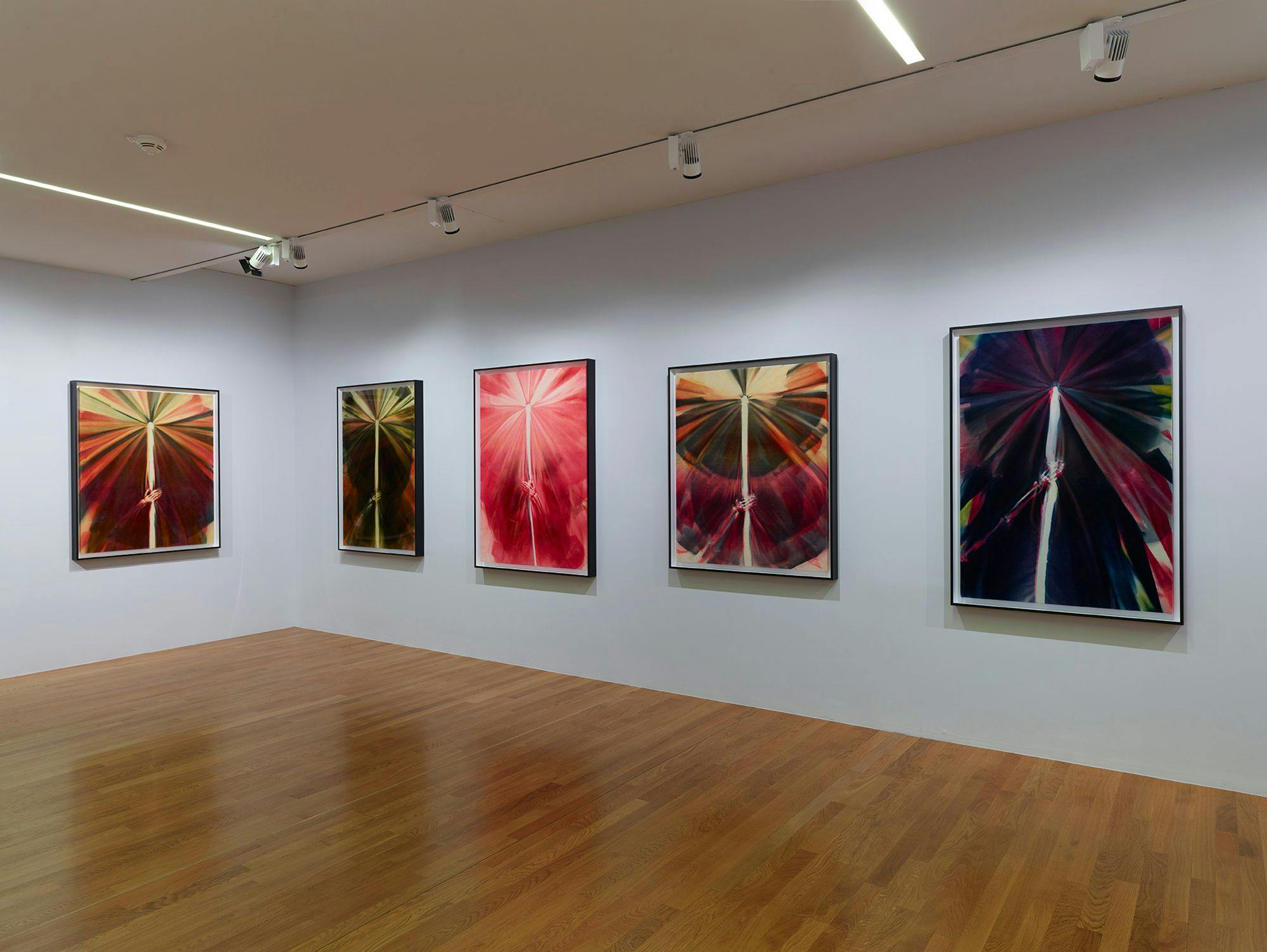 An installation view of works on paper by Andra Ursuța on view at Fondation Vincent van Gogh Arles, France