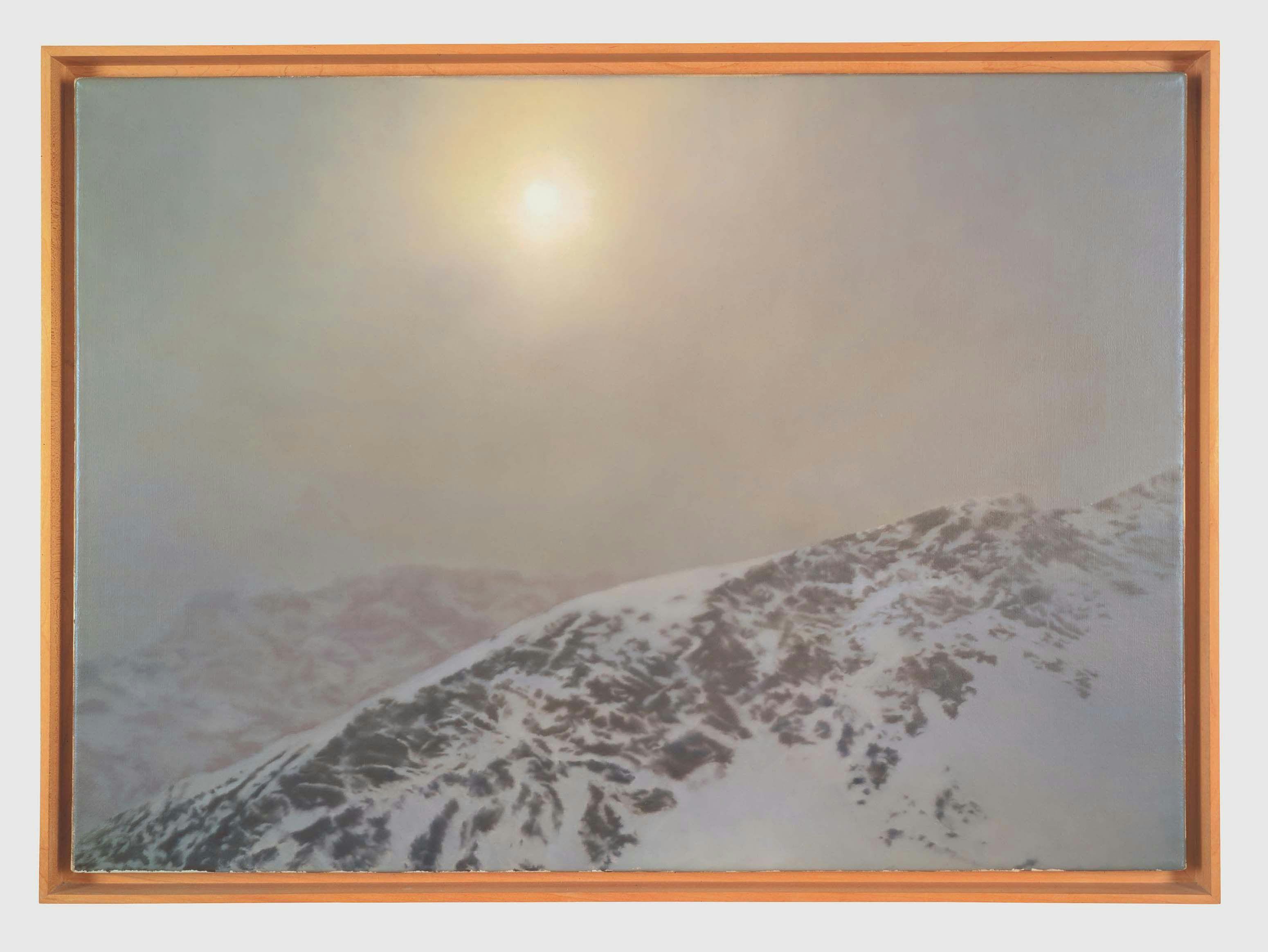 A painting by Gerhard Richter, titled Davos, dated 1981.