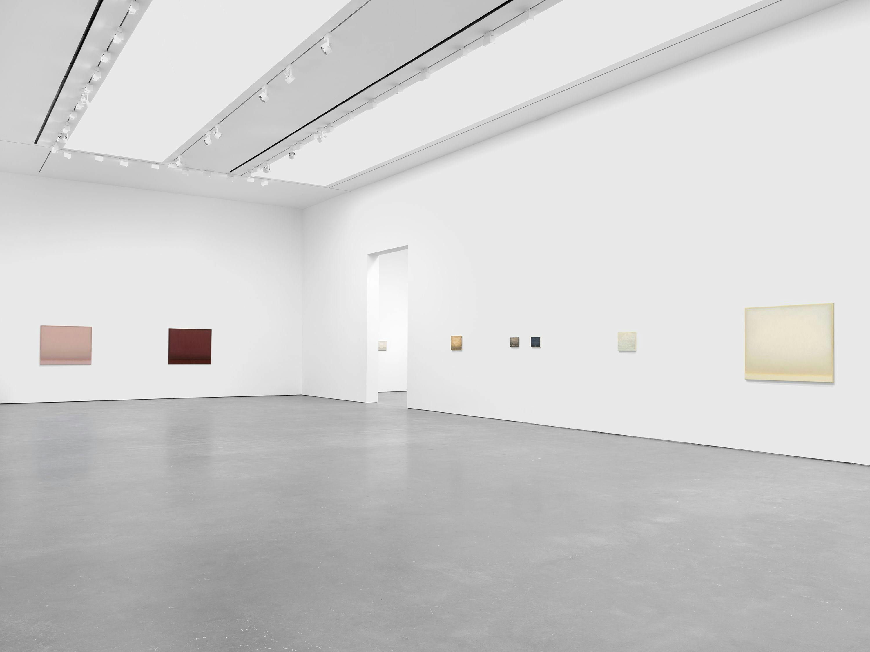 An installation view of paintings by Lucas Arruda at David Zwirner in New York