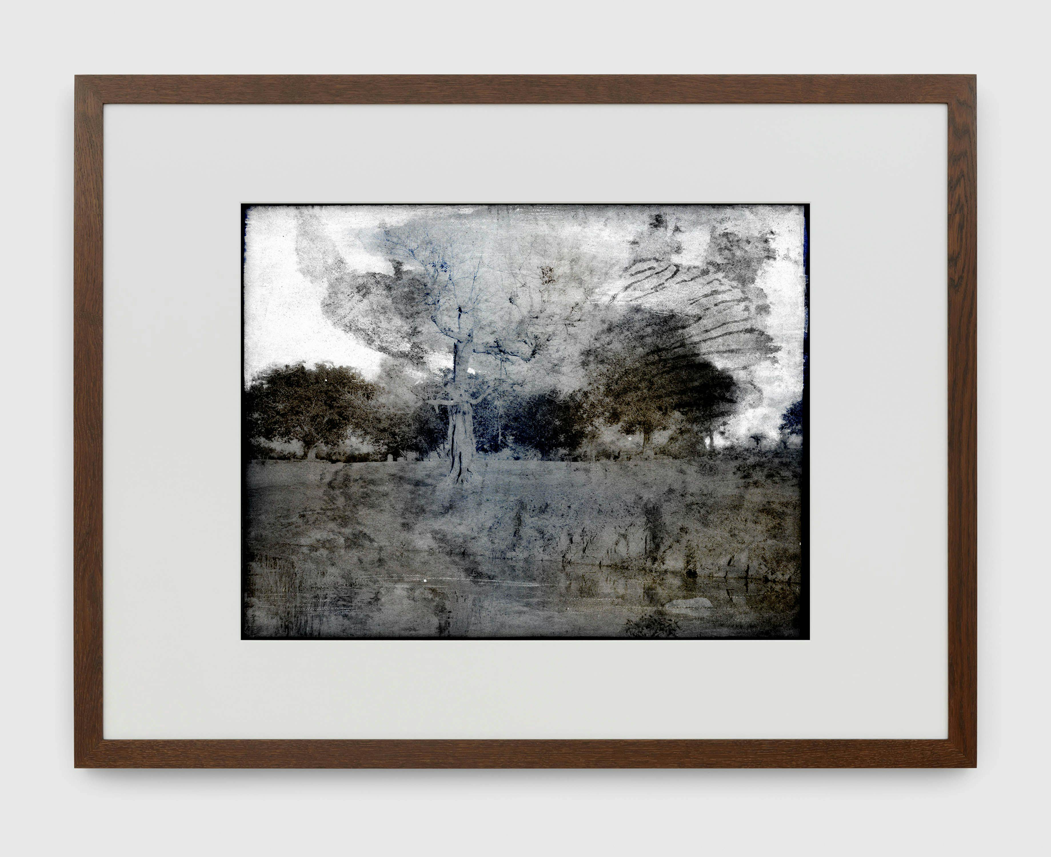 A photograph by Thomas Ruff, titled tripe_03 Mysore. Landscape with leafless tree and tank., dated 2018.