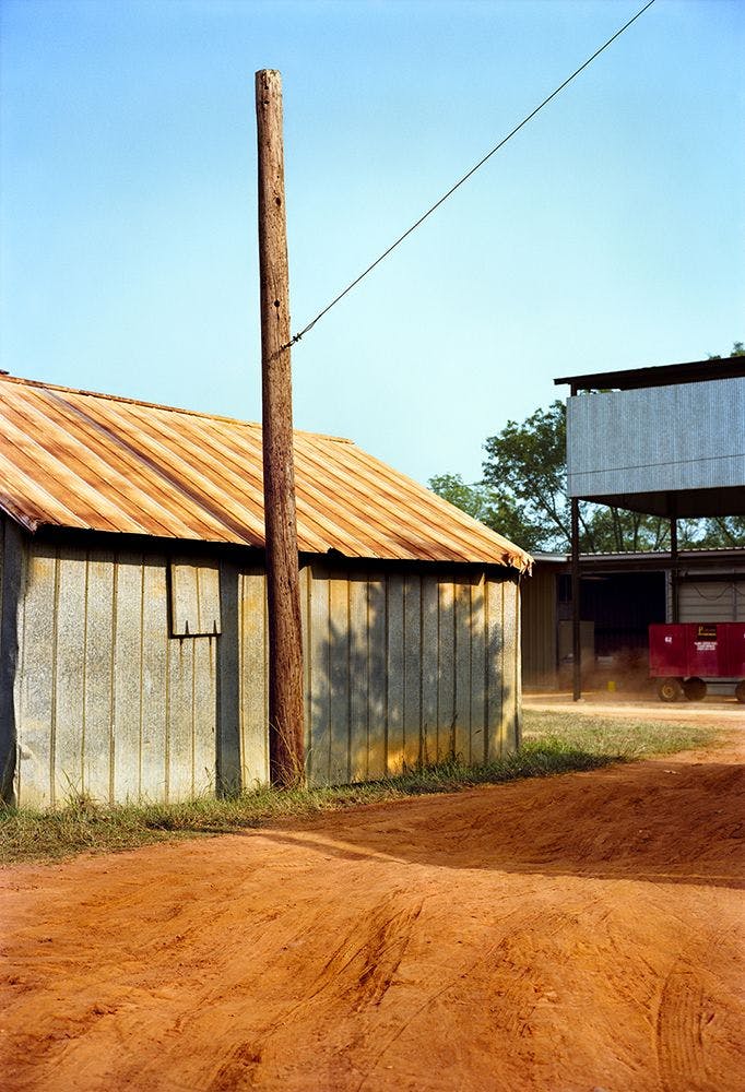 A photograph by William Eggleston titled Untitled, dated 1976.