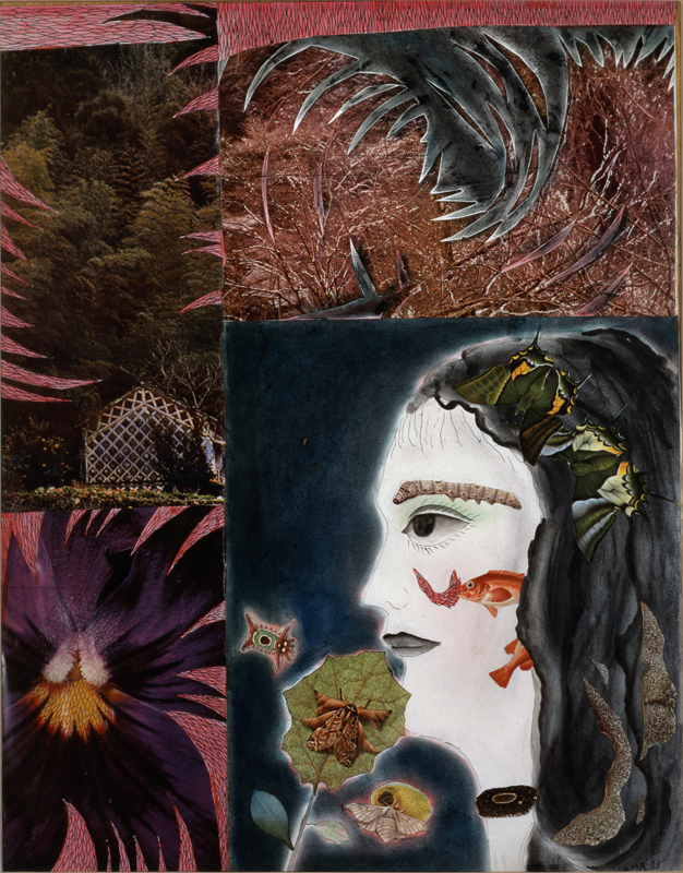 A collage by Yayoi Kusama, titled Flowers and Self-Portrait, dated 1973.