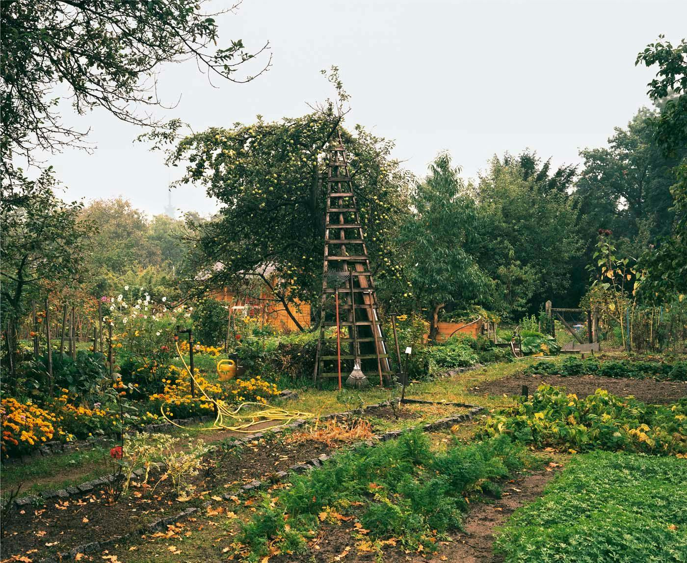 A photograph by Stan Douglas, titled Garden Designed by Lenne, Halbinsel Meederhorn, Sacrow, dated 1994.