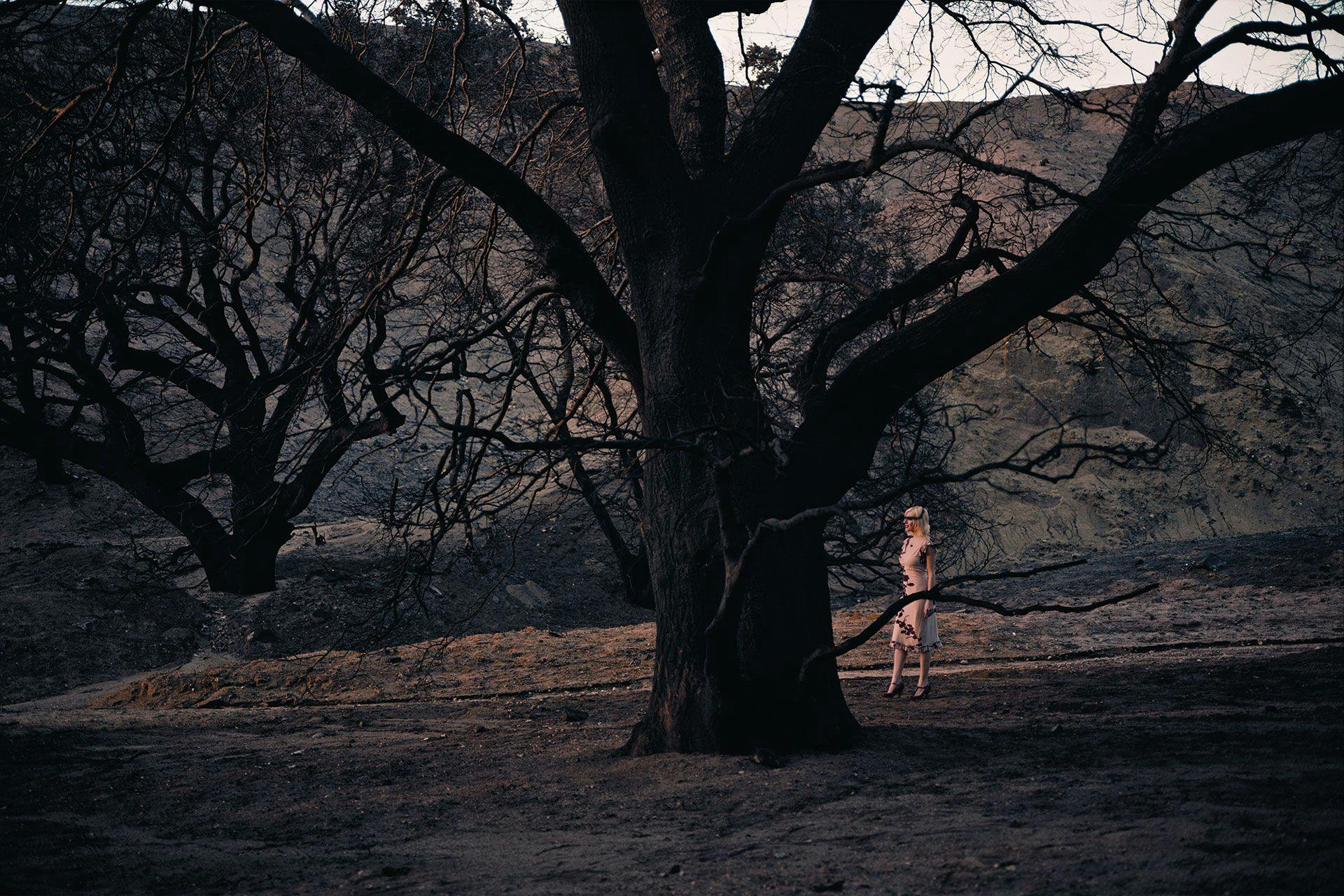 A photograph by Philip-Lorca diCorcia titled Lacy, dated 2008.