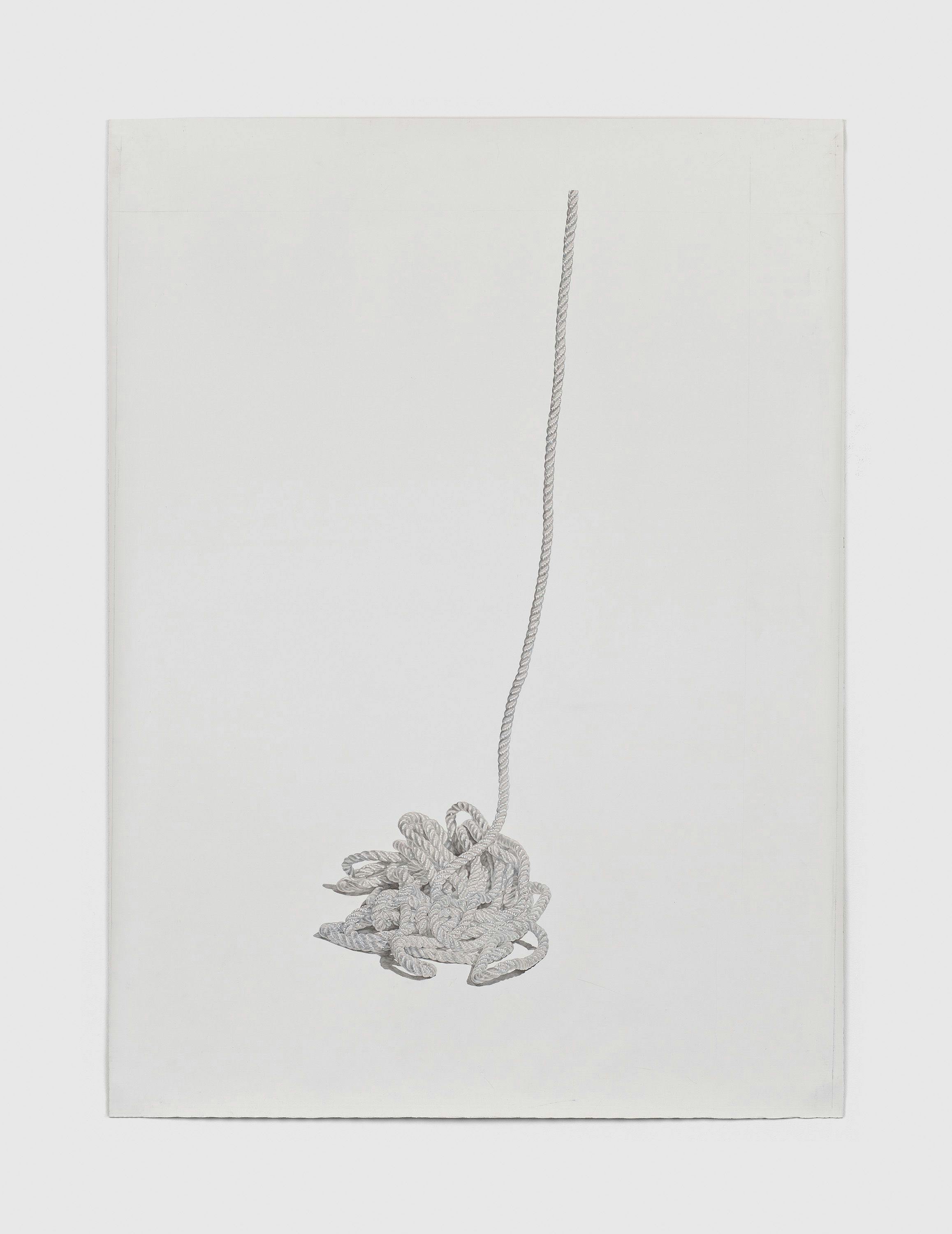A painting by Toba Khedoori, titled Untitled (rope 2), dated 2011.
