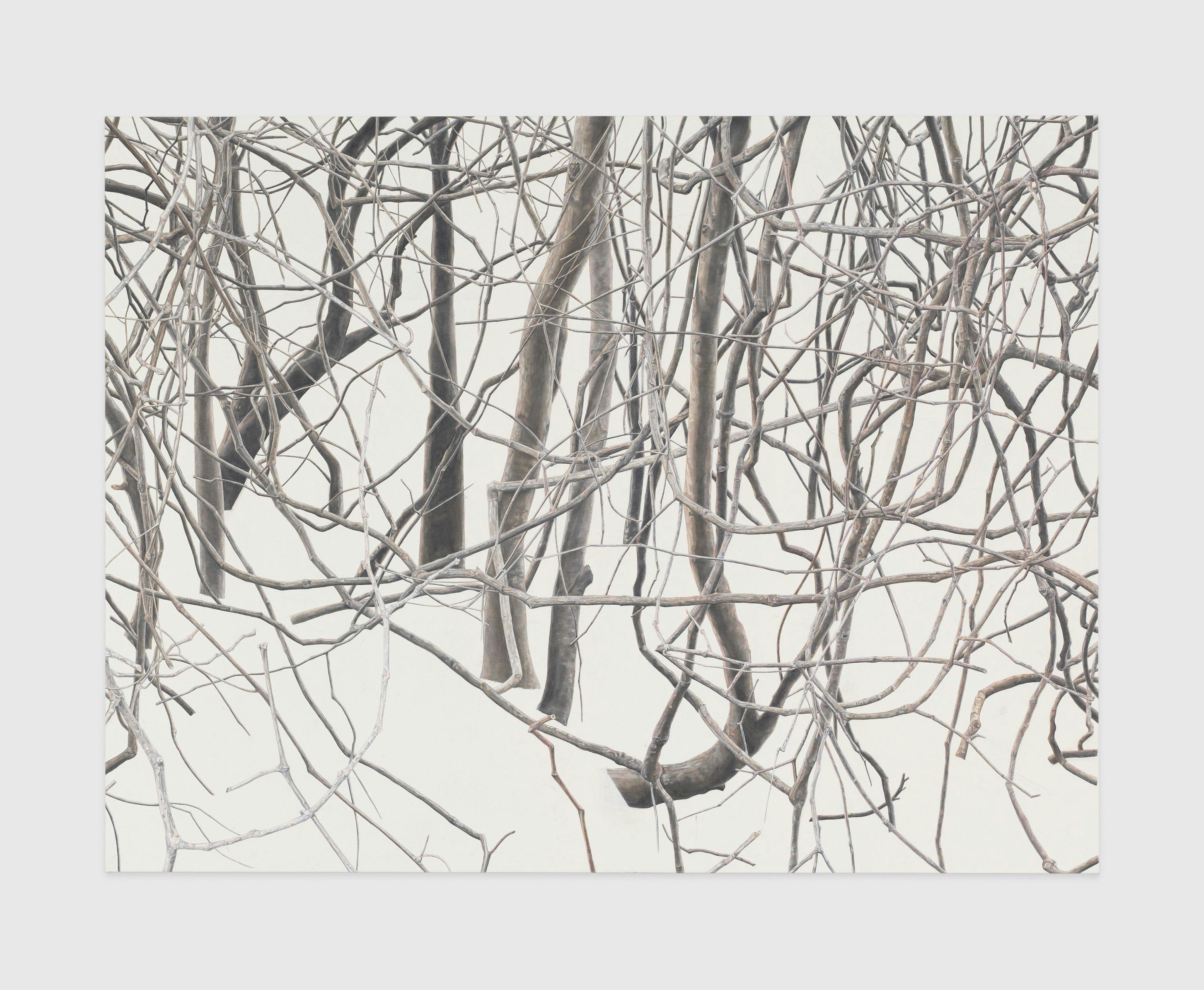 A painting by Toba Khedoori, called Untitled (branches 1), 2011 to 2012.