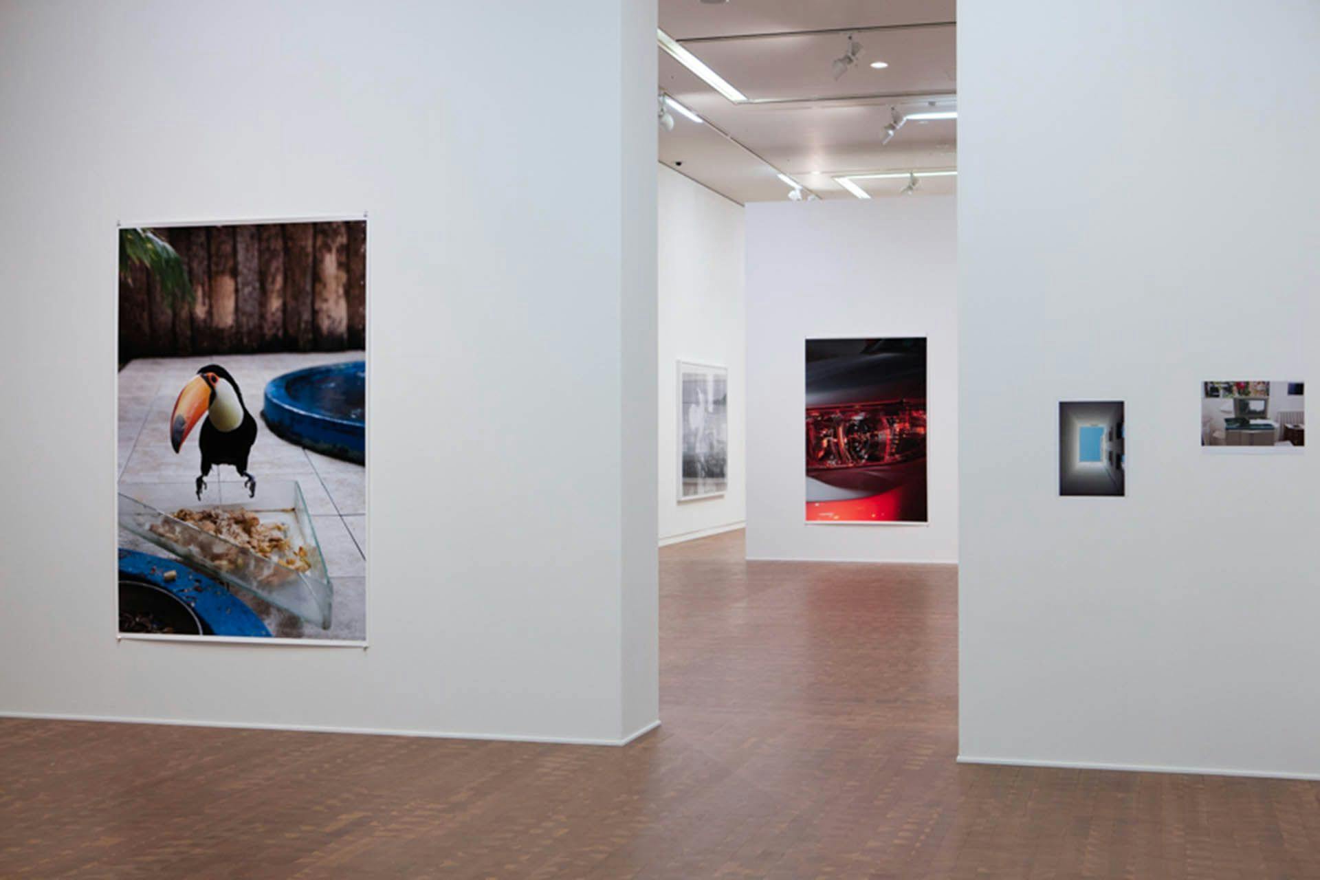 Installation view of Wolfgang Tillman's exhibition Your Body is Yours at the National Museum of Art, Osaka, dated 2015.