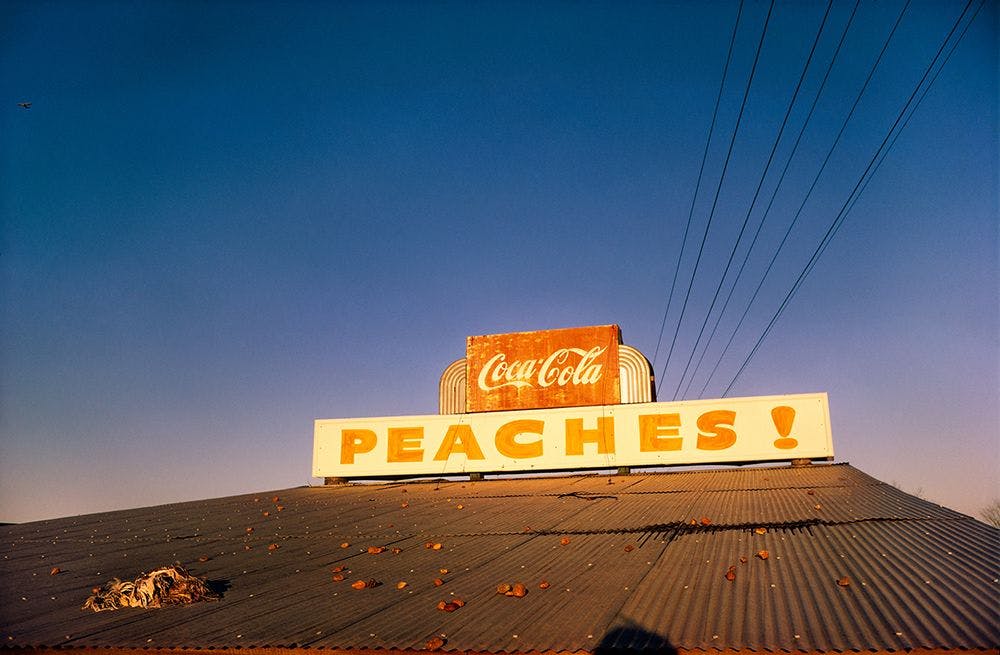 A photograph by William Eggleston titled Untitled, dated 1973.