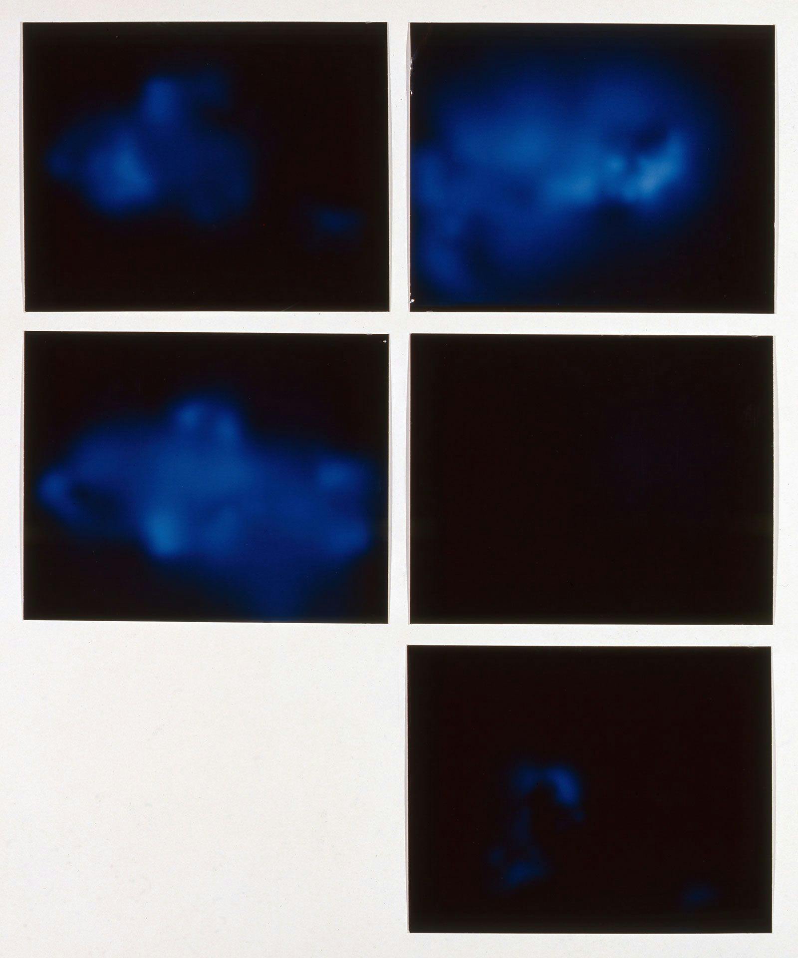 A print by Sigmar Polke titled Uran (blau) (Uranium [blue]), dated 1982.