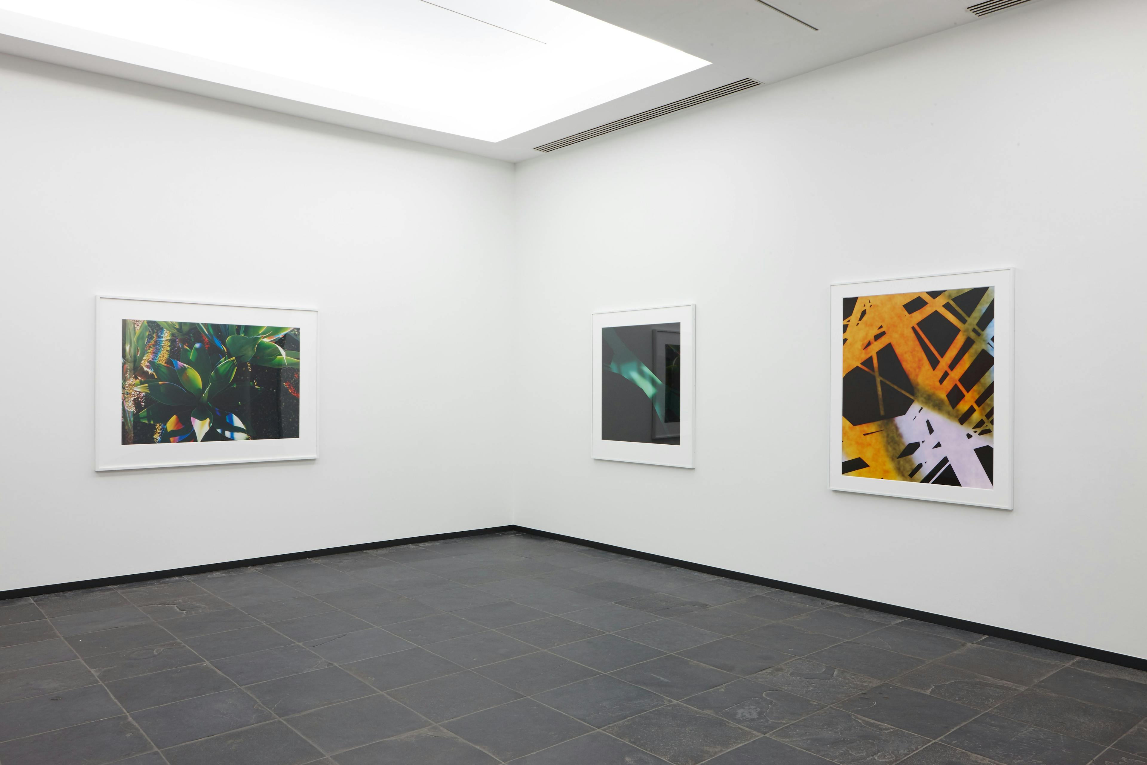 Installation view of the exhibition titled Metamorphosis at S.M.A.K. in Ghent, Belgium, dated 2017.
