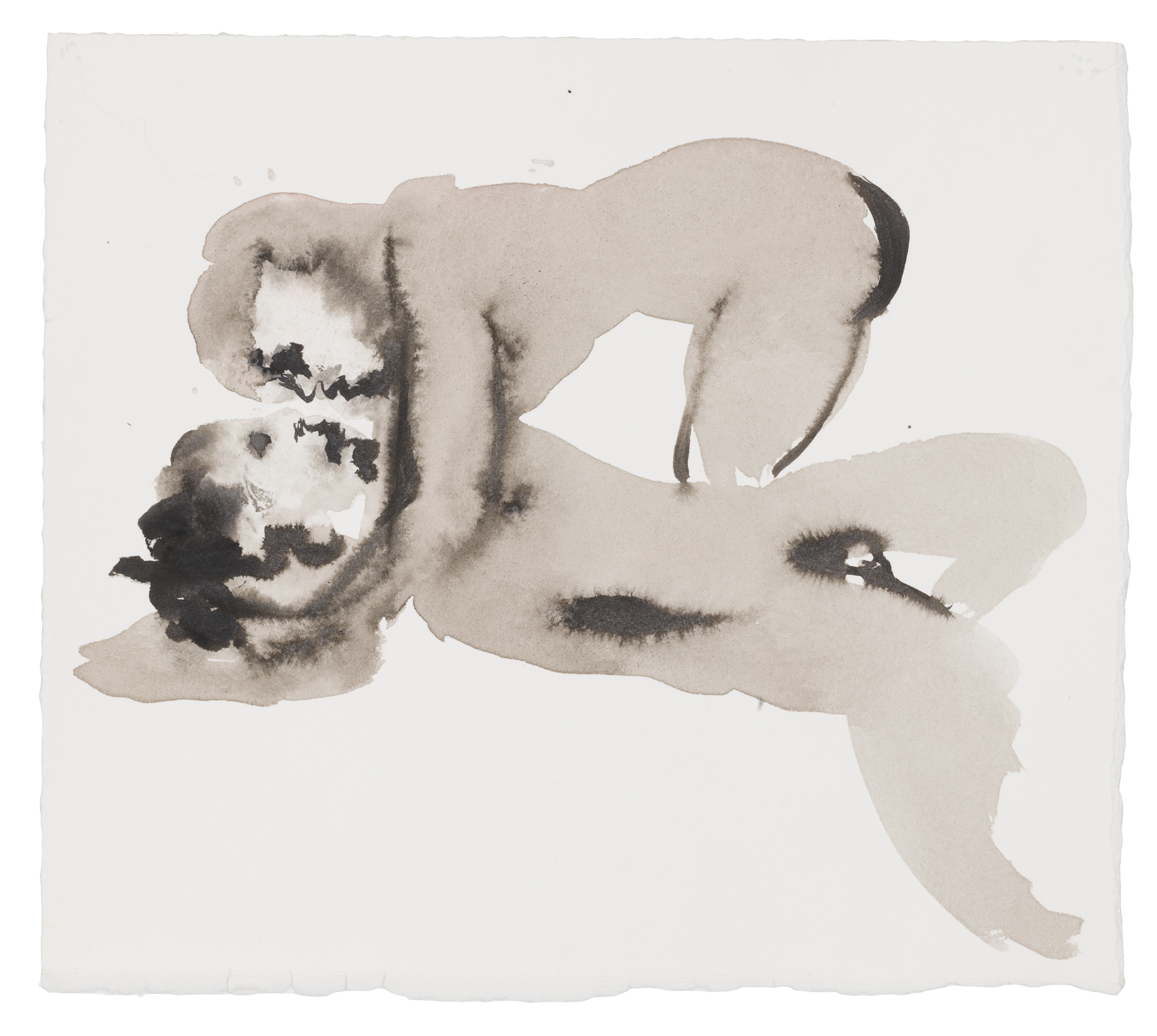 A drawing of a work by Marlene Dumas titled Venus with Body of Adonis, dated 2015 through 2016.