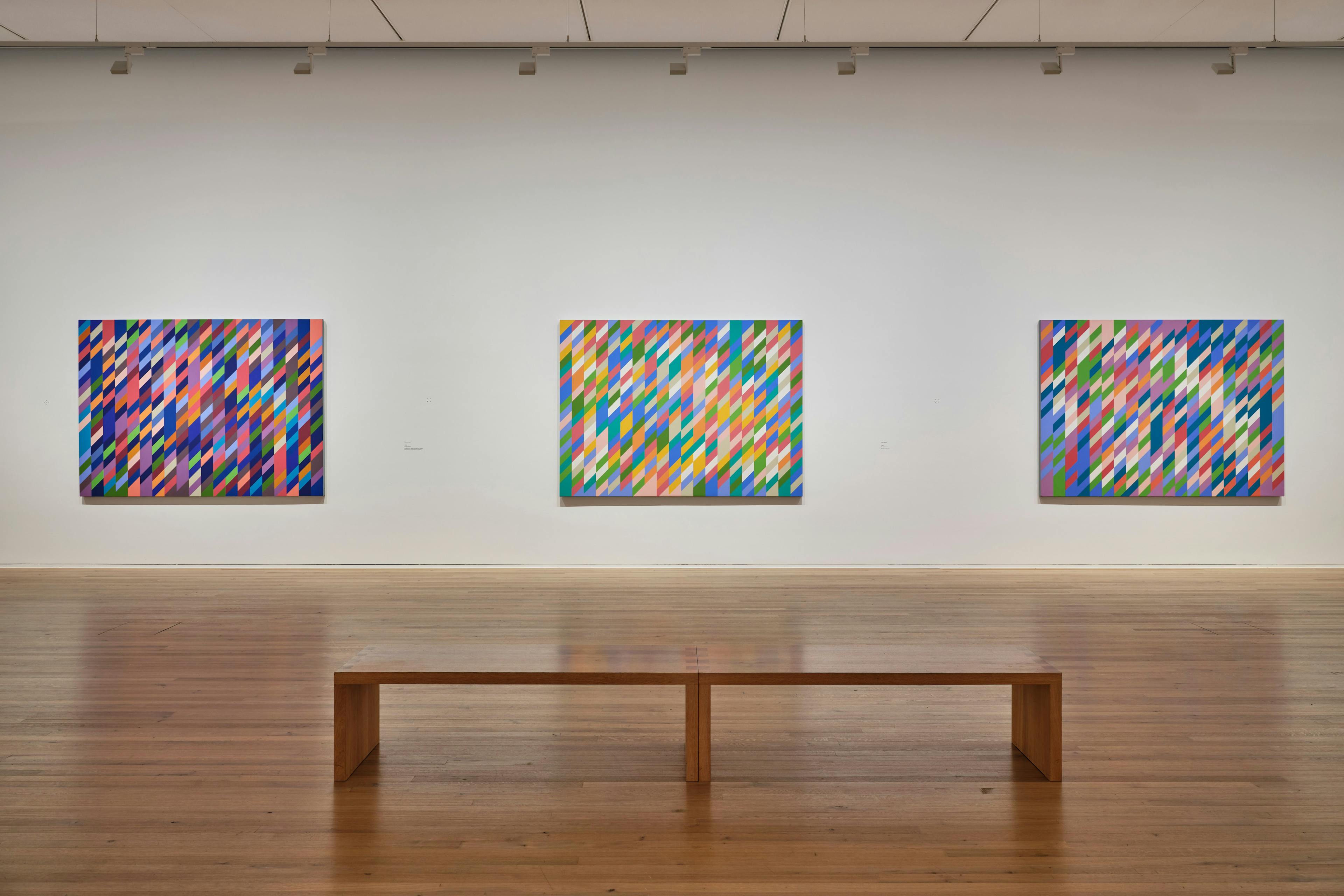 Installation view of the exhibition, Bridget Riley: Looking and Seeing, Doing and Making, at The Zentrum Paul Klee, in Bern, Switzerland, dated 2022.