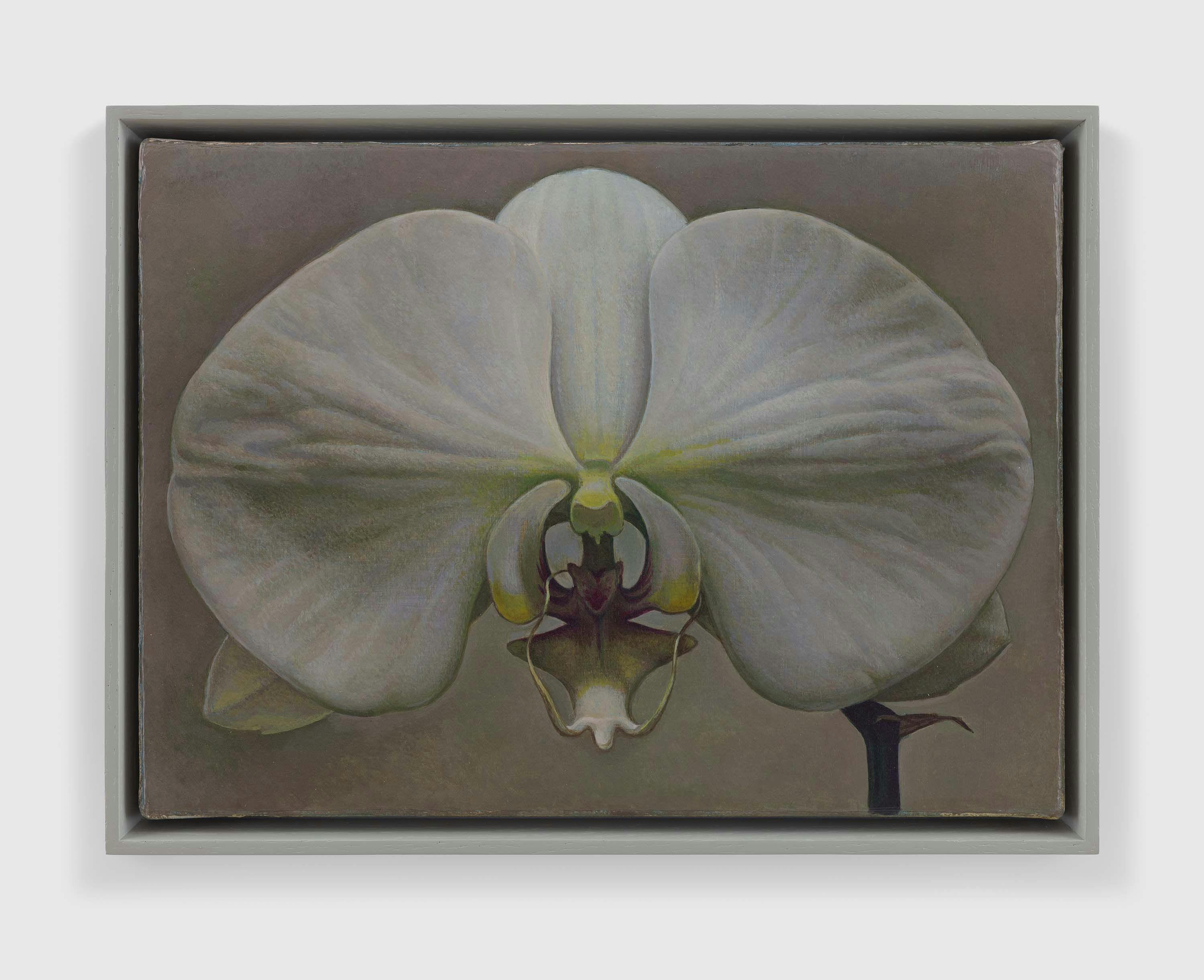 A painting by Liu Ye, titled Flower No.4 (Homage to Karl Blossfeldt), dated 2022.