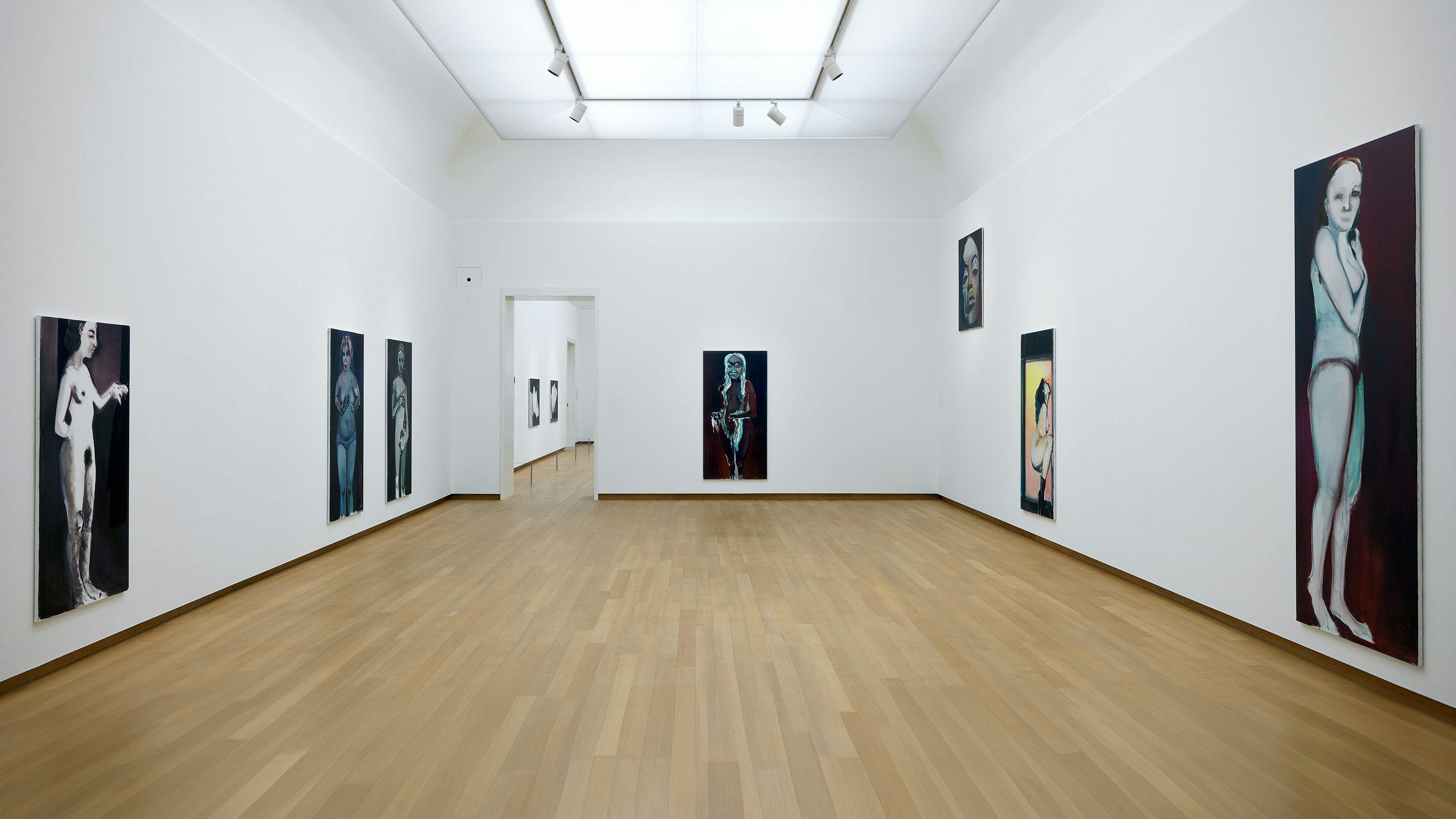 Installation view of the exhibition, MARLENE DUMAS: THE IMAGE AS BURDEN, at Stedelijk Museum Amsterdam in 2014 to 2015.